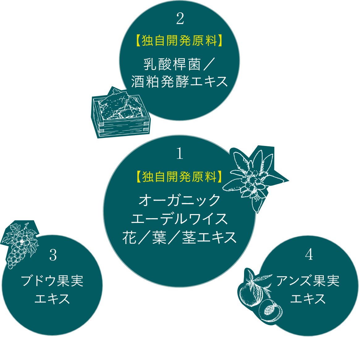 Point 02 環境ストレス＊1 にアプローチする独自成分「L-EWコンプレックス」