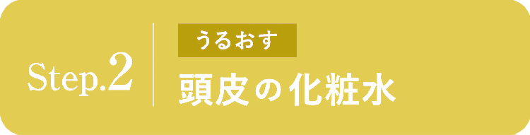 Step.2 うるおす:頭皮の化粧水