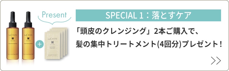 頭皮のクレンジング 2本セット