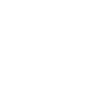 数量限定2026.10.14 WED