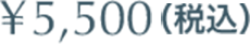 5,500円（税込）
