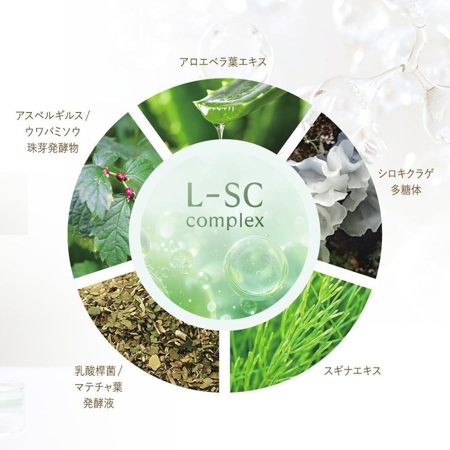 L-SCコンプレックス成分図解