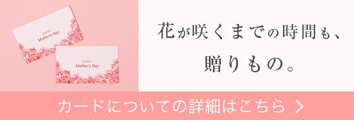 2026母の日ギフトカード