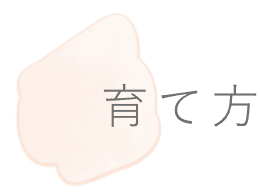 育て方