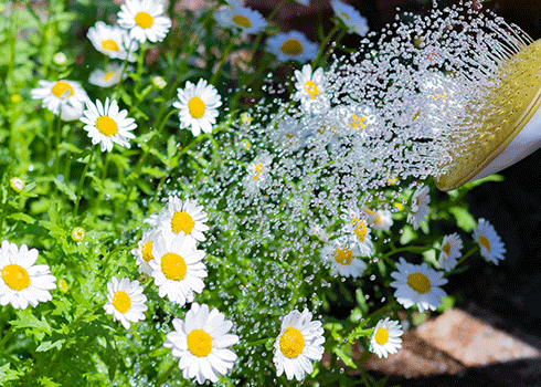 循環のイメージ