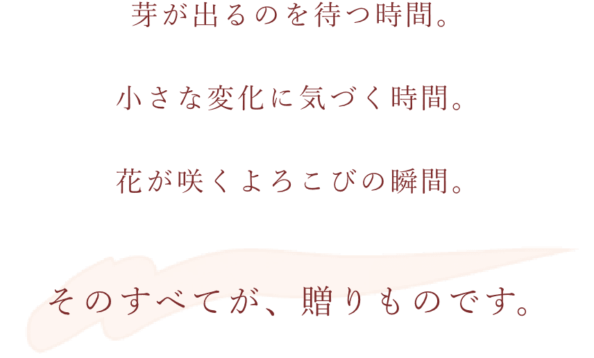 芽が出るのを待つ時間。小さな変化に気づく時間。花が咲くよろこびの瞬間。そのすべてが、贈りものです。