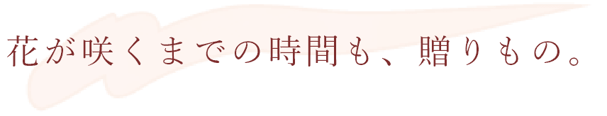 花が咲くまでの時間も、贈りもの。