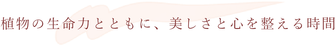 植物の生命力とともに、美しさと心を整える時間