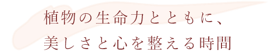 植物の生命力とともに、美しさと心を整える時間