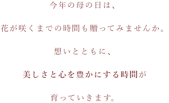 芽が出るのを待つ時間。小さな変化に気づく時間。花が咲くよろこびの瞬間。そのすべてが、贈りものです。