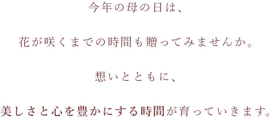 芽が出るのを待つ時間。小さな変化に気づく時間。花が咲くよろこびの瞬間。そのすべてが、贈りものです。