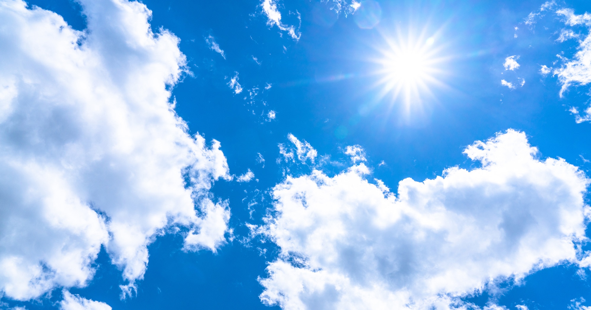 「汗・ベタつき・におい」が気になる夏の頭皮は、想像以上に“うるおい”を求めています！